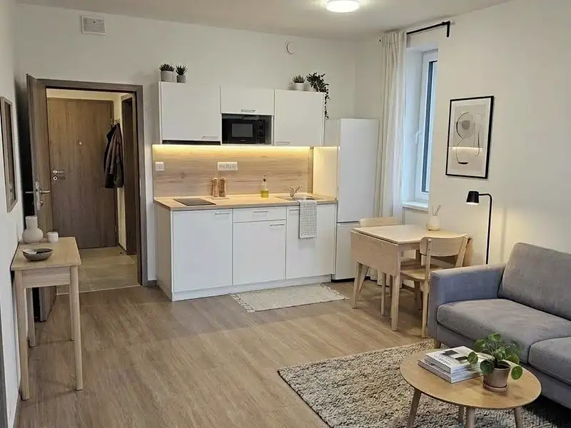 Pronájem bytu 1+kk, 32 m², Plzeň-město, Plzeň
